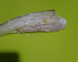 旨い！せせりと茄子のはさみ揚げ作り方3写真
