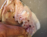 魚の霜降り（下ごしらえ・臭み抜きの）仕方作り方7写真