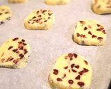 作り置きチョコチップクッキー作り方13写真