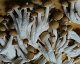 鶏ささみと きのこ❀大葉の甘酢さっぱり煮作り方1写真