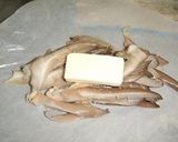 平茸のバター蒸し焼き作り方4写真