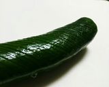 蛇腹胡瓜の塩こんぶ和え☆作り方1写真