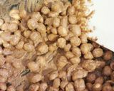 節分に♥節分豆で作る絶品ショコラ福豆作り方3写真
