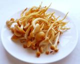 かきの木茸のなめ茸作り方1写真