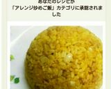 簡単！豚挽肉とネギDEパラパラ黄金炒飯♪作り方10写真
