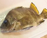 タモリの煮付け作り方1写真