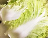 チーズかけ和風ロール白菜作り方2写真