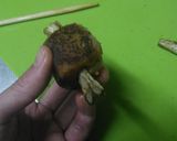 ギャートルズ肉(・∀・)ミニサイズ作り方9写真