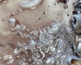 イカの刺身作り方5写真