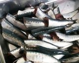 骨まで柔らか~、いわしの煮物( ´∀｀)作り方1写真
