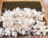 海苔巻★7種の具であっさりキンパプ作り方7写真