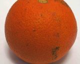 鱈の白子ポン酢作り方6写真