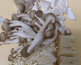 簡単 キノコの和風パスタ しょうゆ系作り方2写真