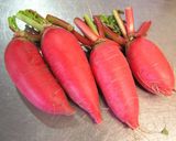 カフェランチ 根菜輪切り炒め作り方1写真