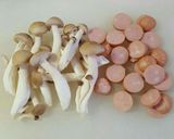お手軽　油揚げピザ作り方1写真