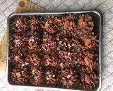 バレンタイン♡サクサク！玄米パフチョコ作り方4写真