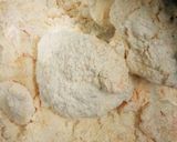 簡単なクッキーの作り方作り方2写真