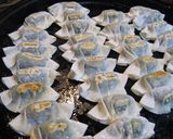 カリカリ超簡単餃子!「屋台村」直伝!!作り方5写真