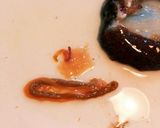 慣れれば簡単！なまこぽん酢！作り方4写真