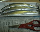 キッチンはさみdeさんまcooking♪作り方1写真
