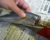 キッチンはさみdeさんまcooking♪作り方3写真