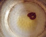 きんぴらごぼう作り方3写真