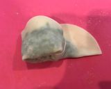 春菊餃子のバラ巻き♡作り方7写真
