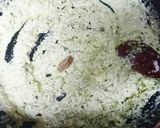 バジル味シーフード☆豆腐グラタン風作り方1写真