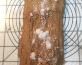 動物性不使用キャロブ天然酵母パンクグロフ作り方6写真