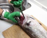 大きい魚の捌き方*応用ききます*作り方3写真