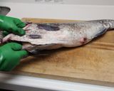 大きい魚の捌き方*応用ききます*作り方6写真