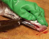 大きい魚の捌き方*応用ききます*作り方24写真