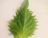 大葉香る♪さつま揚げチーズはさみ作り方1写真