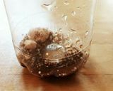 超簡単♥泡たっぷりカフェオレ作り方1写真