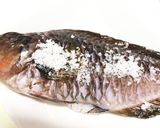 簡単 ブダイのホイル蒸し磯仕立て作り方12写真