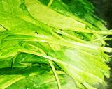 ほうれん草のバター炒め★作り方1写真