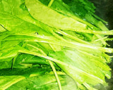 ほうれん草のバター炒め★作り方1写真