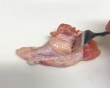 漬けて焼くだけ♬*゜グリルチキン☆作り方1写真