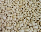 簡単！誰にでも失敗なしの手作り味噌作り方4写真