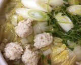 肉団子？ツミレ？鍋、スープ、離乳食にも！作り方6写真