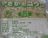 Home-made もろみ味噌2017作り方9写真