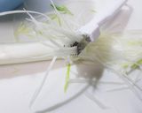 ネギカッターdeおいしカッター鍋作り方1写真
