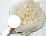 鶏もも肉のマヨネーズ焼き♪簡単作り方6写真