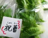 祝蕾の浅漬け作り方1写真