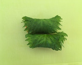 ちくわの紫蘇巻〜わさびマヨネーズ〜作り方5写真