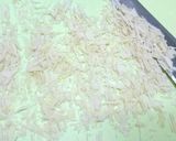 パスタチョコ♪作り方4写真