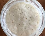 粉と水だけのサワードウスターター作り方5写真