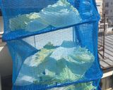白菜だけのお味噌汁⭐︎天日干し白菜で作り方1写真