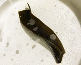 ☆冬の定番☆あったか湯豆腐作り方1写真