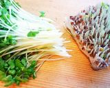 ブロッコリースプラウトのポテトサラダ作り方5写真